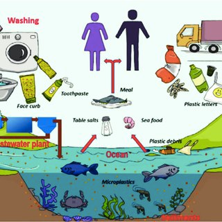 Aquatic Peril: Understanding the Consequences of Water Pollution