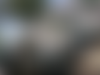 Indian Army Denies Ceasefire Violation Along LoC Amid Conflicting Reports