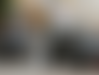 EU-Arab delegation enters Judea and Samaria off designated war-zone route; IDF responds with warning shots