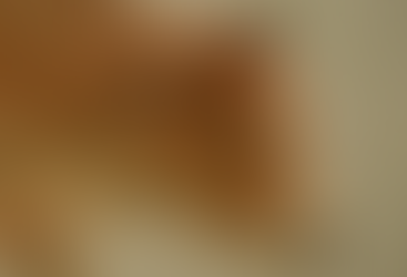 India to Establish First National Cow Culture Museum in Mathura