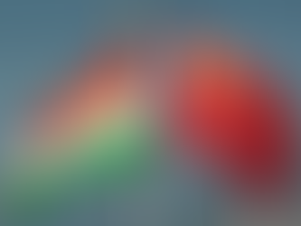 India Resumes Tourist Visas for Chinese Citizens After Five-Year Hiatus