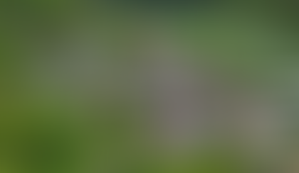 Switzerland: 'Migrant youths' cause chaos in a small town, including reportedly defecating beneath a statue of the Holy Virgin