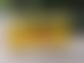 India: Four individuals accused of plotting jihadist attacks aimed at establishing a caliphate