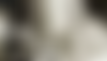 Freedom is not given, it is taken~ Netaji Subhash Chandra Bose