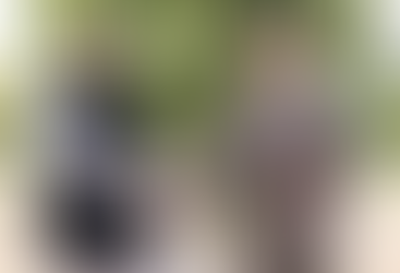 PM Modi Presents Sonoma Dove Tree Sapling to King Charles III Under “Ek Ped Maa Ke Naam” Initiative