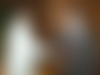 Strengthening Bilateral Ties: The India-Dominican Republic JETCO Protocol