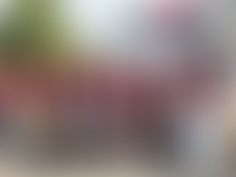 Delhi Police Bust Pakistan-Linked Arms Racket, 10 Arrested in Major Security Operation