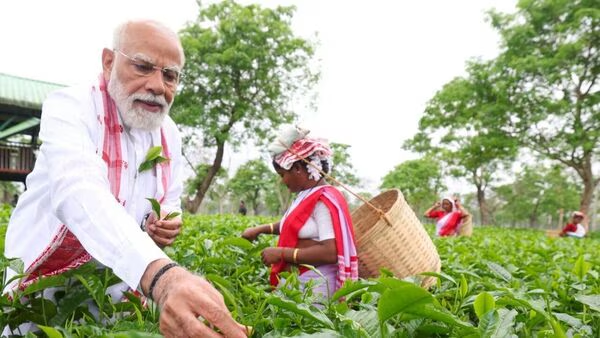 PM Modi’s Assam Visit: A Symbolic Outreach to Tea Garden Workers