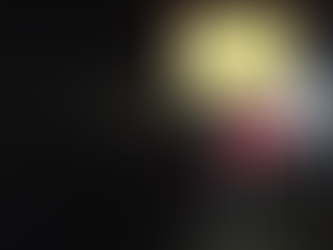 Germany Foils Alleged Jihadist Plot Targeting Christmas Market in Bavaria