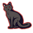 Shi