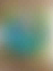 IMG_1461.jpeg