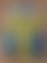 IMG_1195.jpeg