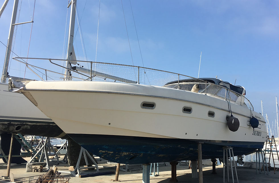 Fiart 40