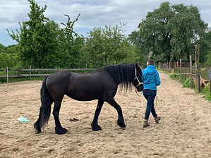 IMG-20190516-WA0018.jpg