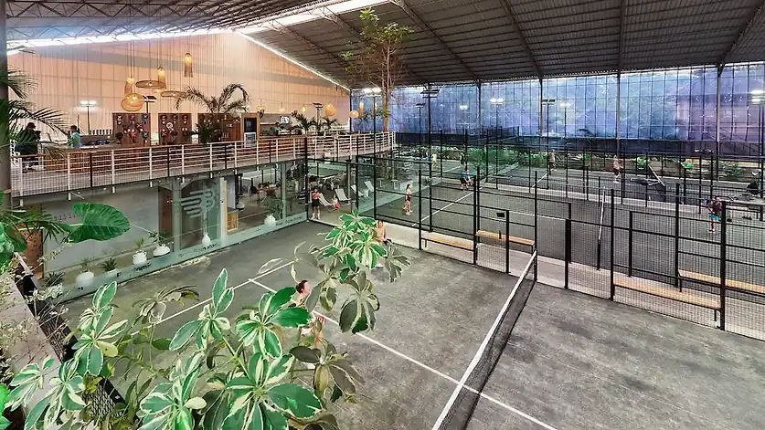 Birdseye view of the courts with a plant
