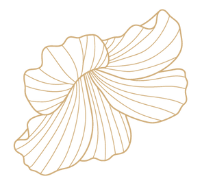 HSF event booklet (2)-02.png