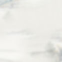 menu bg.jpg
