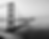 pexels-stephen-leonardi-587681991-28532930_edited.png