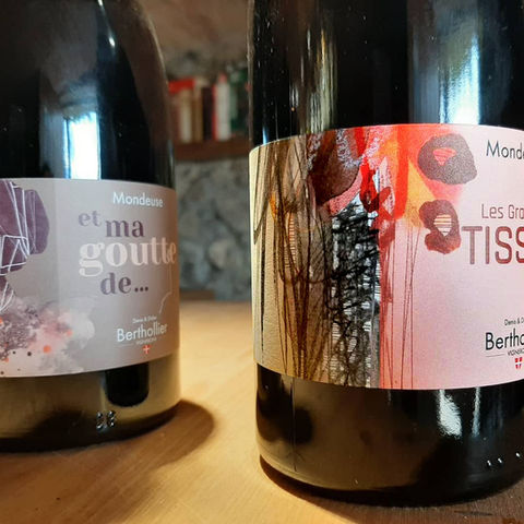 Illustration artistique sur mesure pour packaging et identité visuelle de marque
