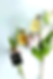 12_IMG_0014_2.png