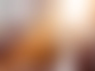 5 Reasons Your Home or Business Needs Window Tint