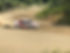 kuruma.jpg