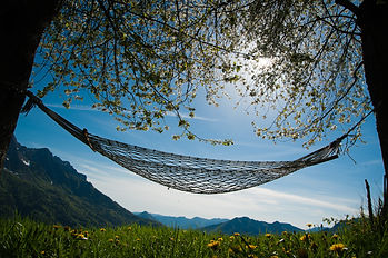 AdobeStock_83097360.jpeg
