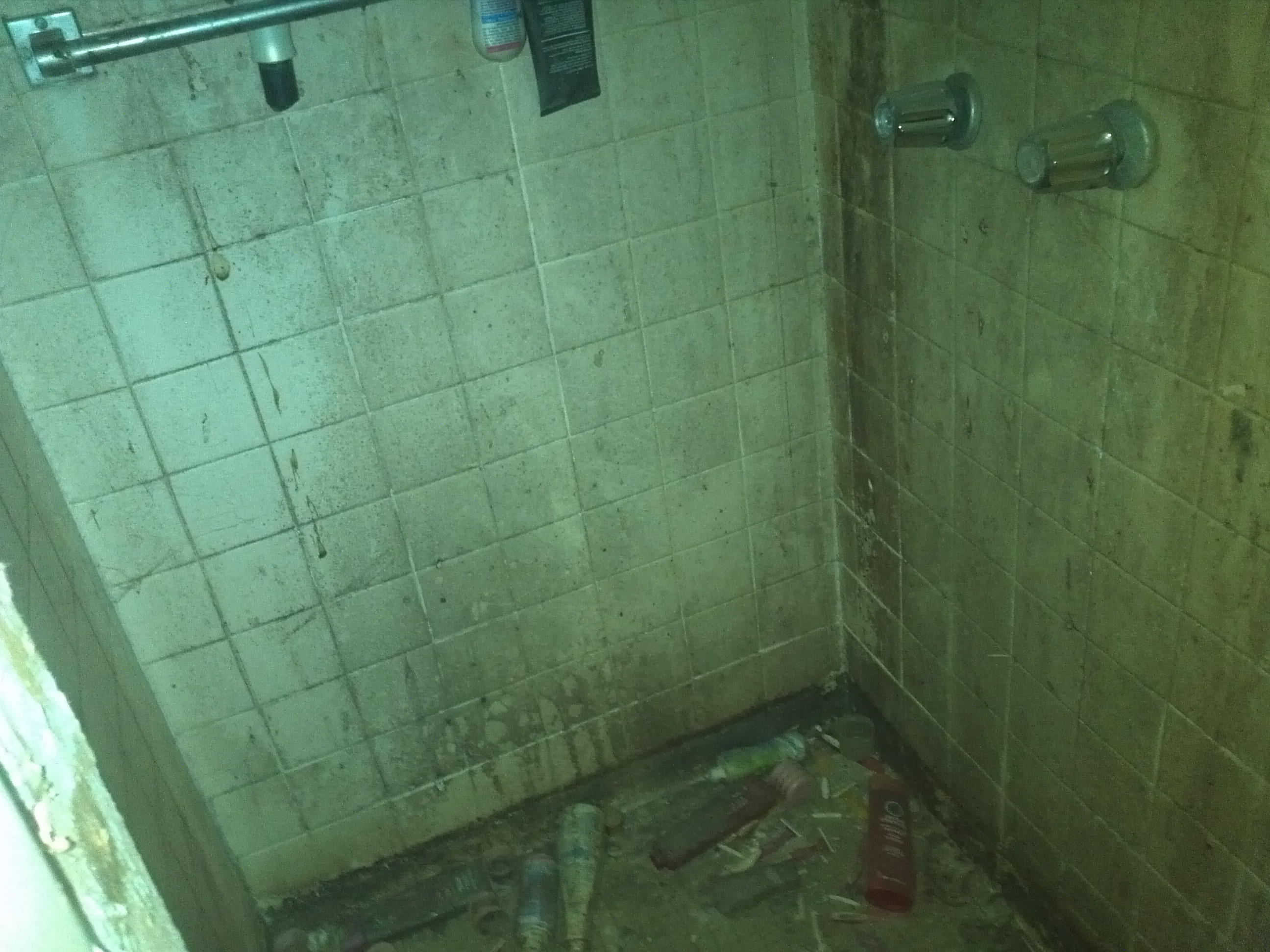 In law shower before