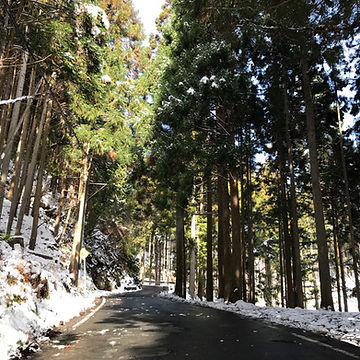 峠4.jpg