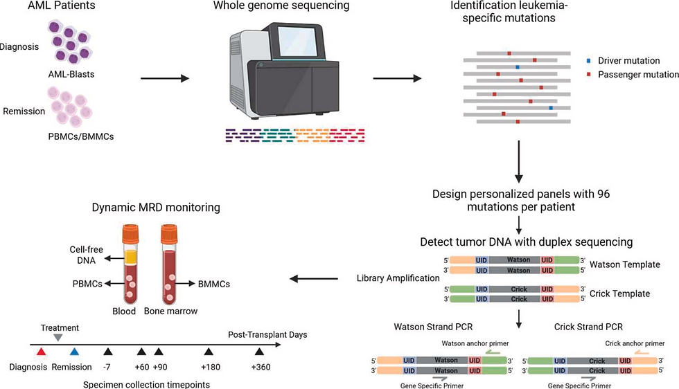 14 April 2026 - A sensitive test for AML detects very low level disease