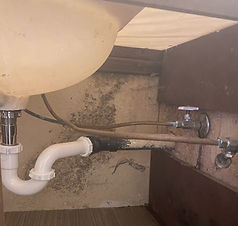 Under sink before mold treatment_edited.