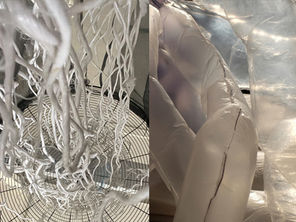 WAVERING, Carolyn Cardinet and Gloria Sulli, THE WANDERING ROOM, 2025