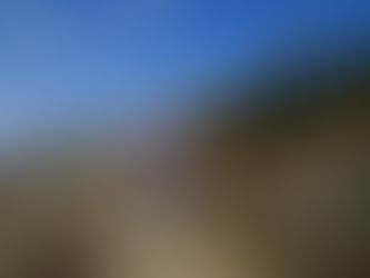 »Jaz ne bom več gospodinja!«