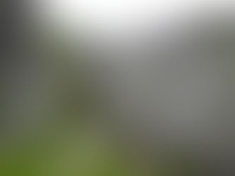 Apuanske Alpe – gore, ki izginjajo