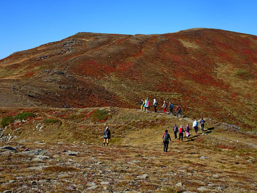 Jesen v Krških Alpah je druga pomlad….