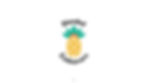 blendedendeavors_logoidentity_Page_1.JPEG