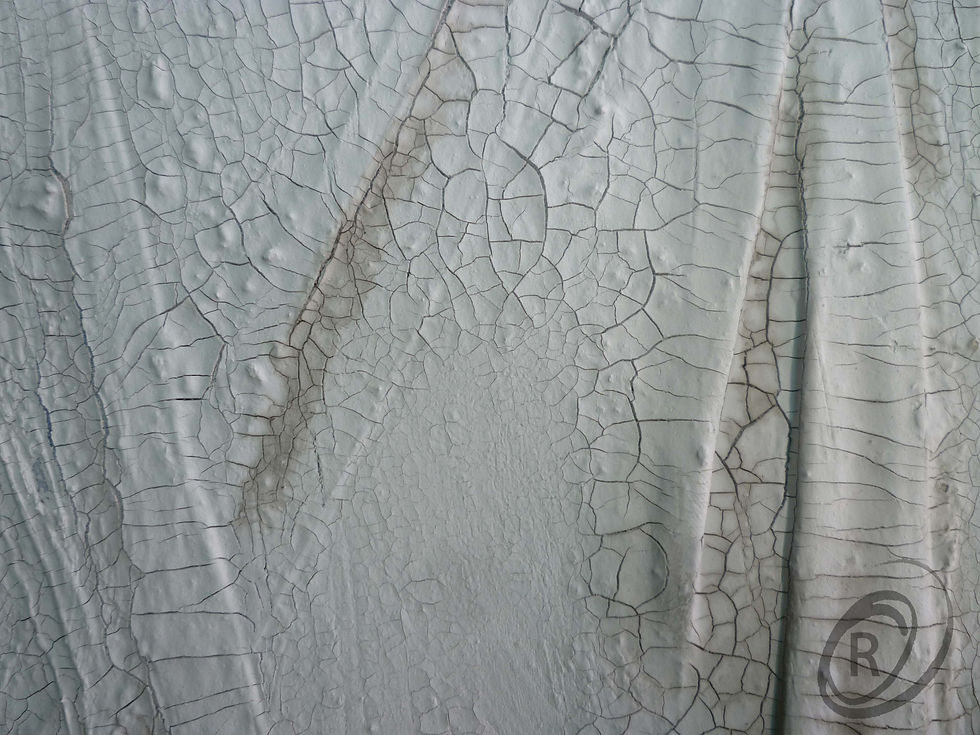 de la serie: Pliegues y Repliegues