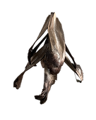 IMG_8850 copy.png