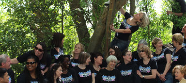 AOK WEB STRIP BACKGROUND_0002_Layer 3.jpg