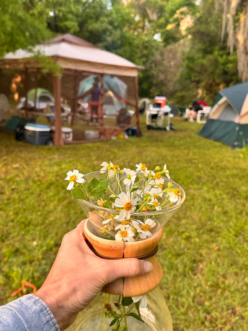 Camping with Tea