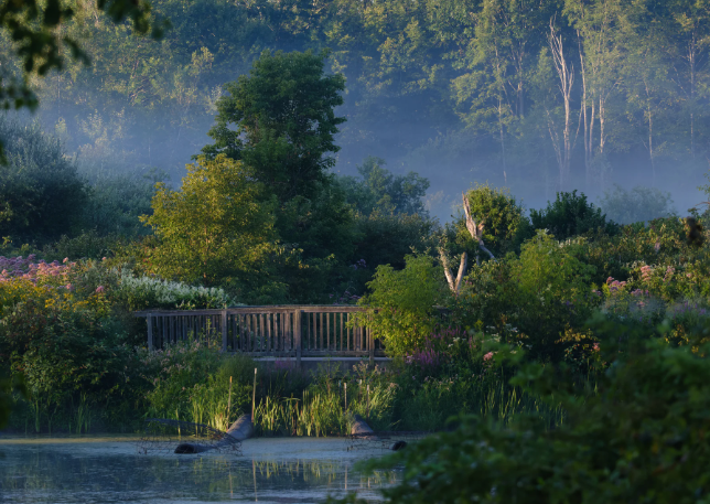 Forest Bathing with Deaf Guides-in-training- New England