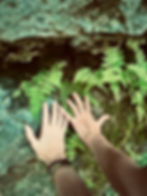 [id: two hands overlap, touching moss, ferns, and lichen on a rocky surface]