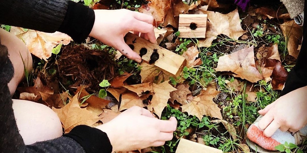 Wilderness Survival in American Sign Language