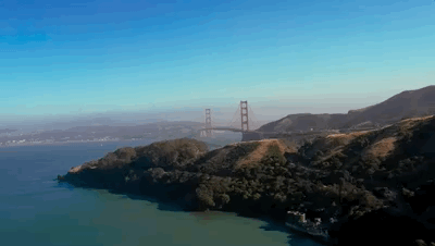 Community Forest Bathing in Bay Area