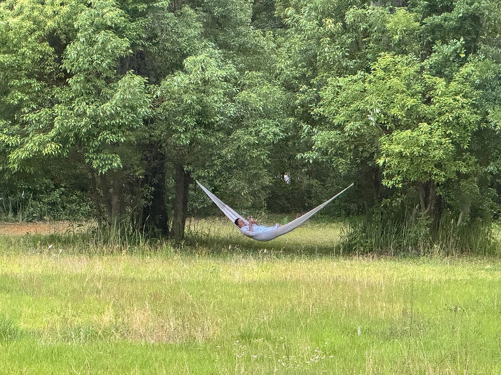 Hammock