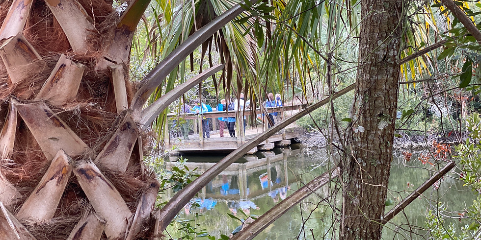 Forest Bathing in St. Augustine