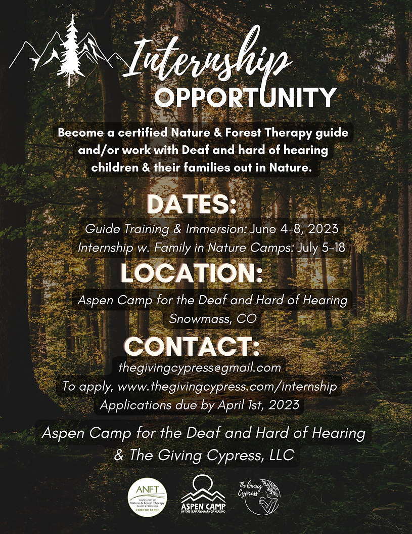 FINAL Internship Opportunity Aspen Camp.png