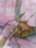 bed study