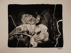 The Colors of the Night