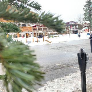 photo jan 16, 3 22 21 pm.jpg